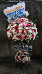 Bunga Papan Gunungwungkal Pati